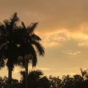 normalnomore（小提琴版）