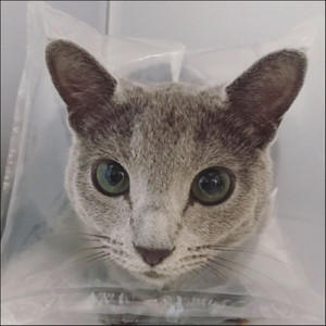 おやつのじかん