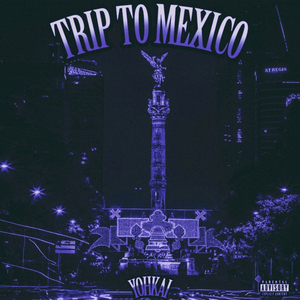 Trip To Mexico