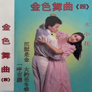 每段路 (迪斯科)