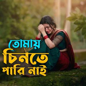 তোমায় চিনতে পারি নাই - Tomay Chinte Parini