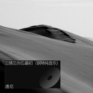 忘情忘你忘最初 (钢琴纯音乐)