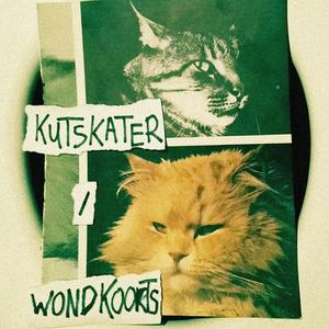 De Vereniging Van De Tantrische Schildpadkoe (Live)