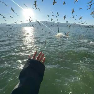 Unutganim yo'q 2（从没有忘记你2）