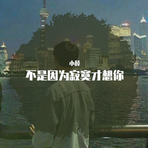 不是因为寂寞才想你_小薛（翻自 王小帅）