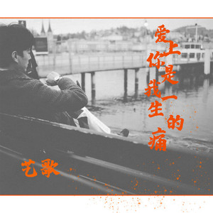 爱上你是我一生的痛