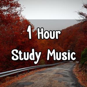 1 Hour Study Music 301 KST