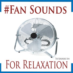 Ceiling Fan Sound
