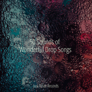 Solemn Echoes of Destiny