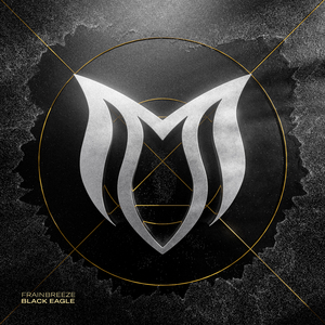 Black Eagle (Extended Mix)