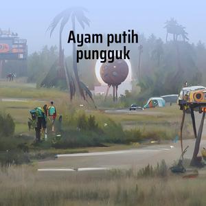 Ayam Putih Pungguk