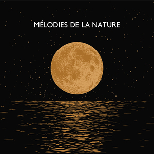 Gazouillis d'oiseaux