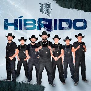 Híbrido