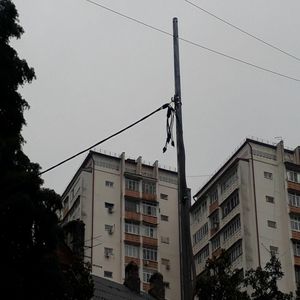 Донна Ли