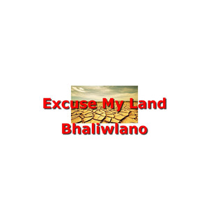 Excuse My Land (Explicit)