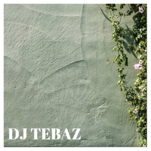 WENABEST TIREX WADER