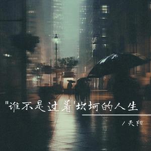 谁不是过着坎坷的人生