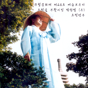 천둥소리에 놀란 새들