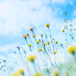 夏之风