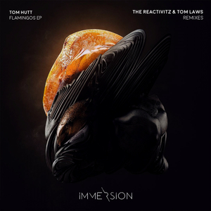 Flamingos (The Reactivitz Remix)