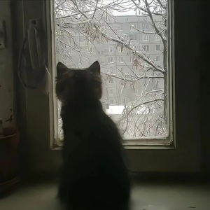 异端进行曲（Prod by EVOMUSIC）