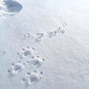 夏日甜蜜手记（prod by 金桔0RANG3）