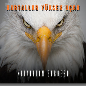Kartallar Yüksek Uçar