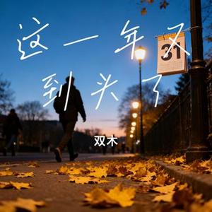 这一年又到头了 (Cover 王一佳)