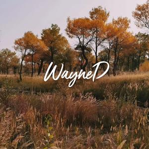 “漂着金子的河”trap type beat