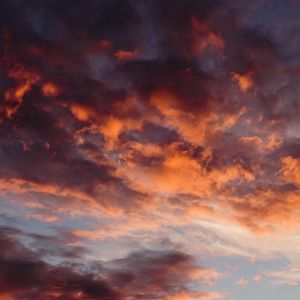 Walaupun Ditengah Keributan