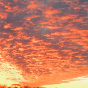 Santas Sleigh Remains Motionless
