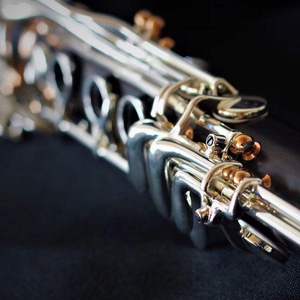 【单簧管】 周深-『大魚』改编单簧管演奏版