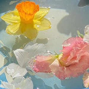 水中花[2025.10.19]