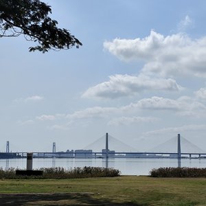 春日海边的希望