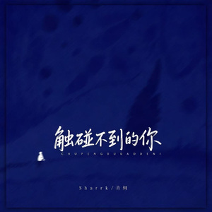 触碰不到的你