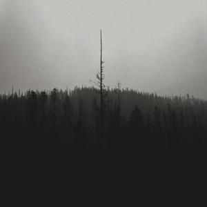 The Roots of: Beast of Misery