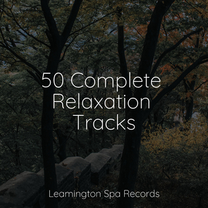 Welness and Calmness