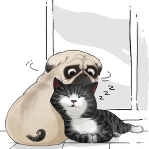 讲真的（Cover 曾惜）