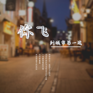 你飞到城市另一边