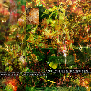 La quatrième Plaie