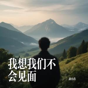 我想我们不会见面