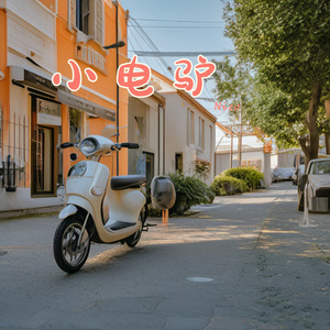 小电驴