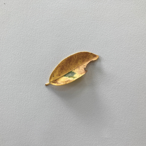 เพลงที่ผมอยากให้ทุกคนได้ฟัง