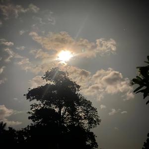 Where I belong (Zombie Remiix)