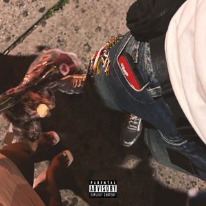 El Unico Defecto Que Tiene