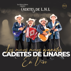 Una Lagrima y un Recuerdo (En Vivo)