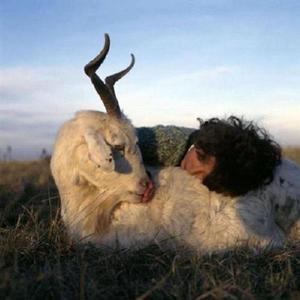 我在春天的山沟里放羊，请你在家等我