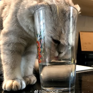 Love Song（翻自 方大同）