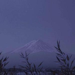 当我要走的时候