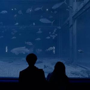 阿拉斯加海湾（男版）